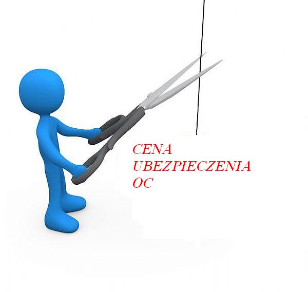 cena polisy OC